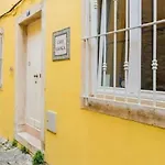 Graca Boho Oasis *